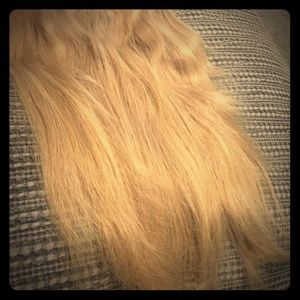 Halo couture extensions ash blonde 18 inch